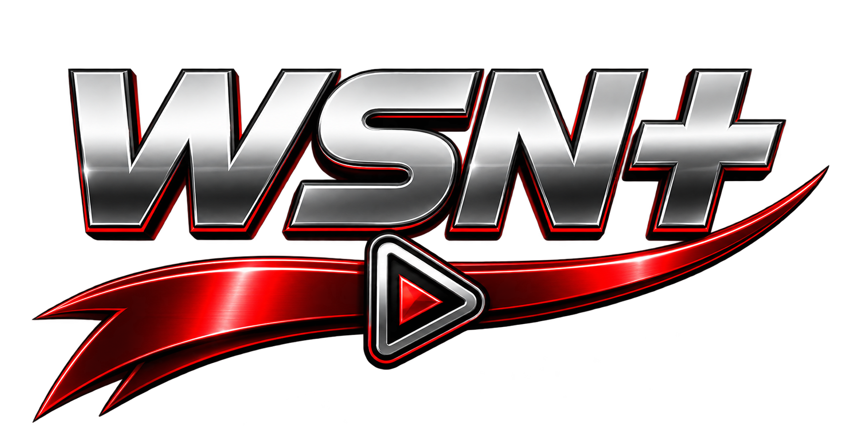 WSN logo